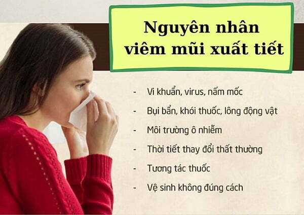 nguyên nhân gây viêm mũi xuất tiết 
