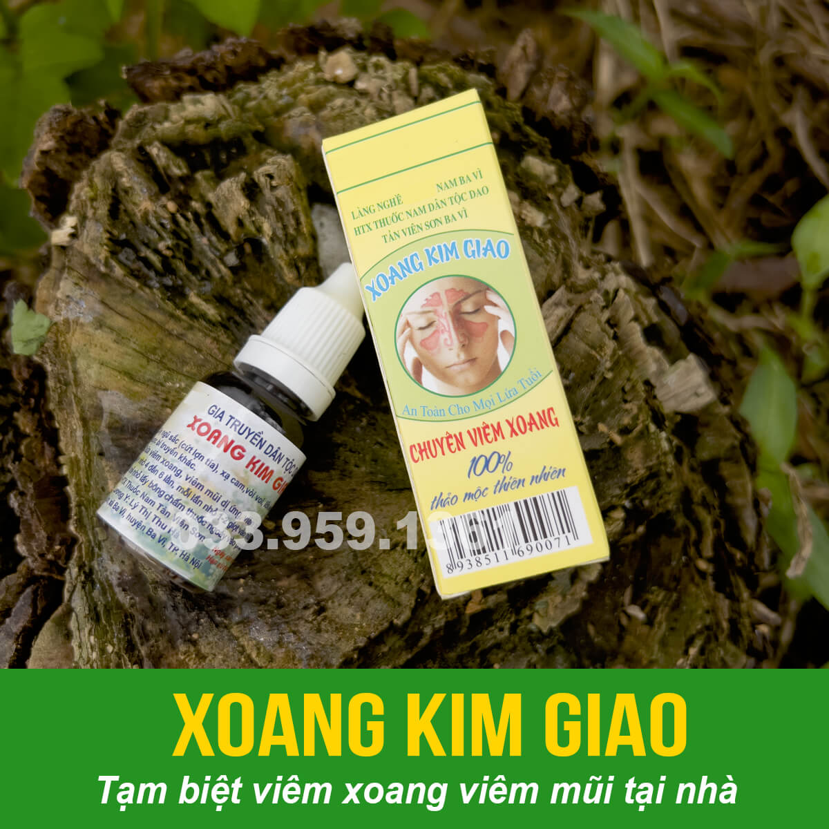 Xoang Kim Giao – bài thuốc nam chữa viêm xoang tại nhà hiệu quả
